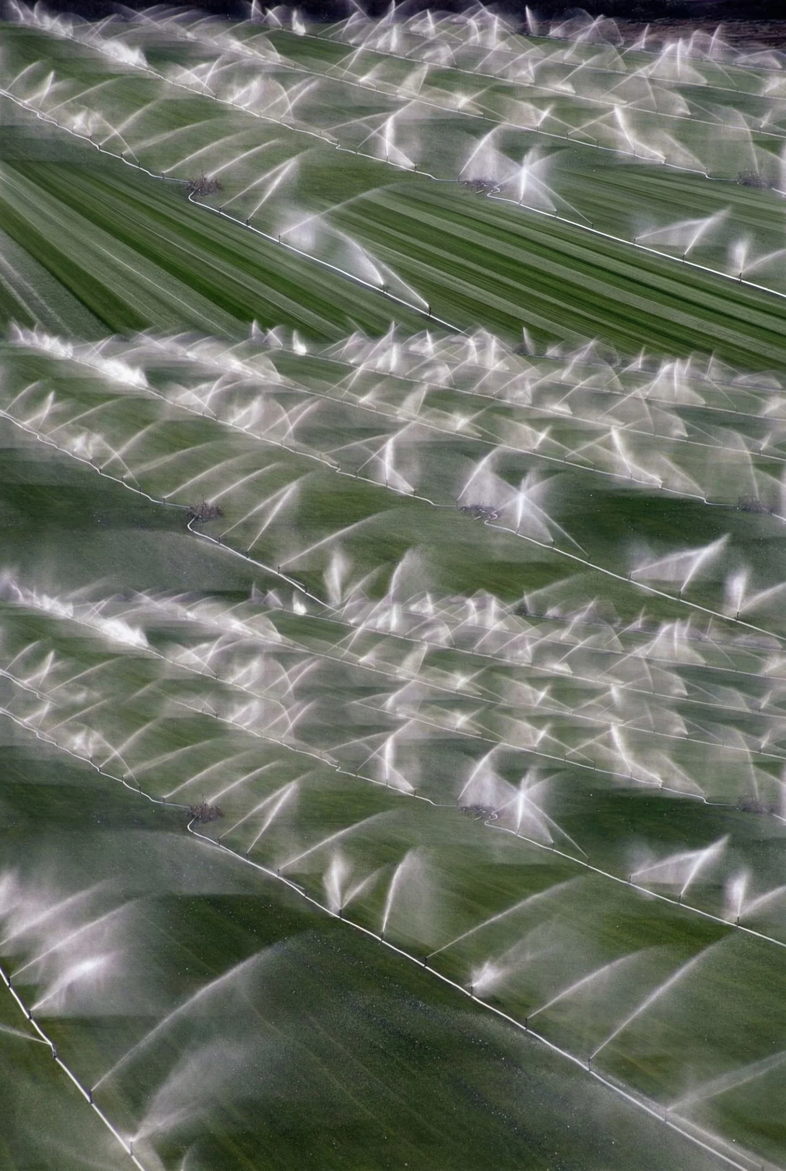First image