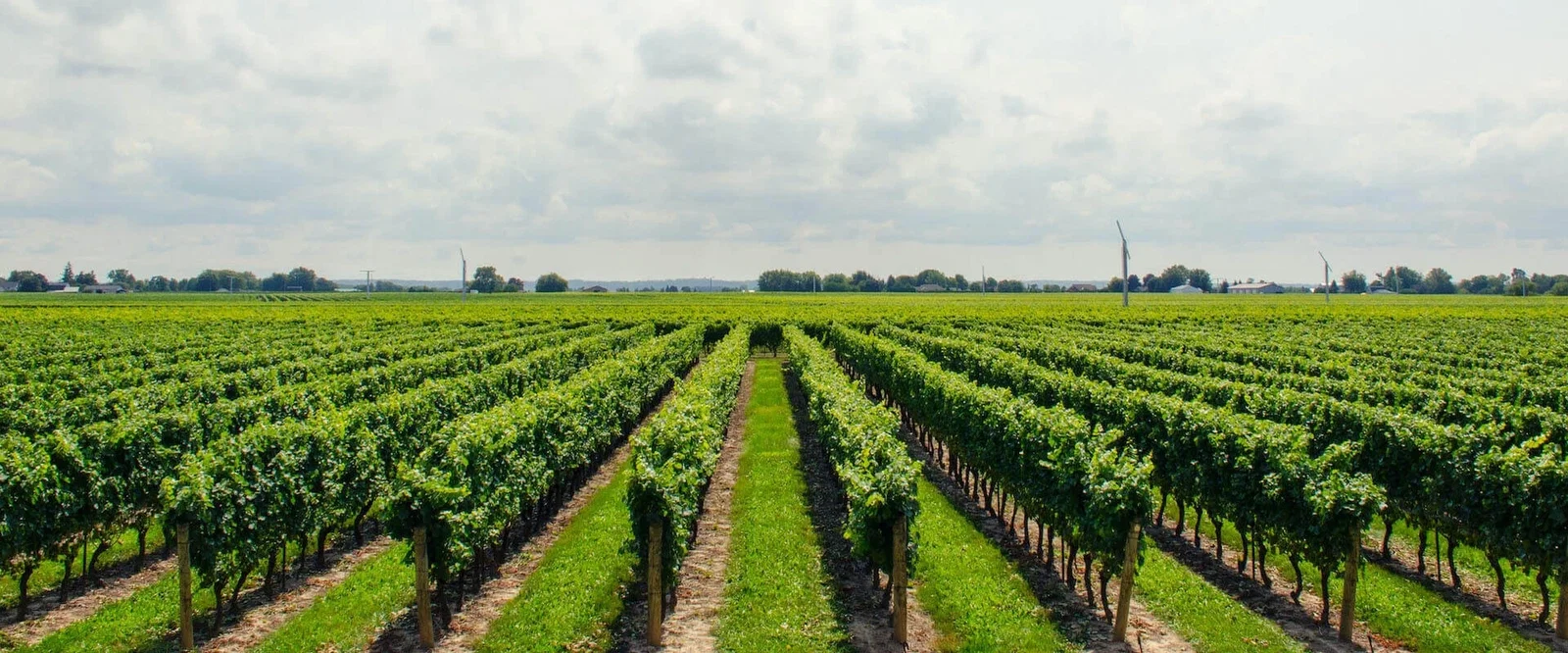 Yeni Nesil Üretimle Geomembran Ürünleri